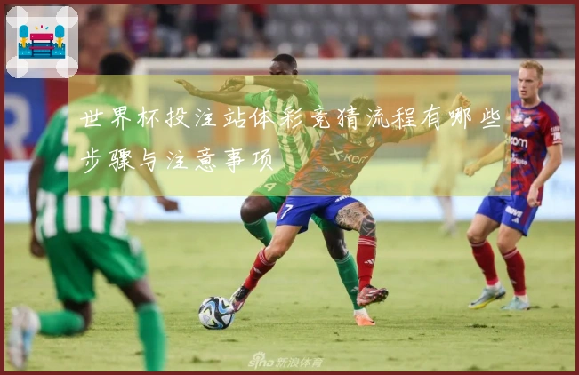 世界杯投注站体彩竞猜流程有哪些步骤与注意事项