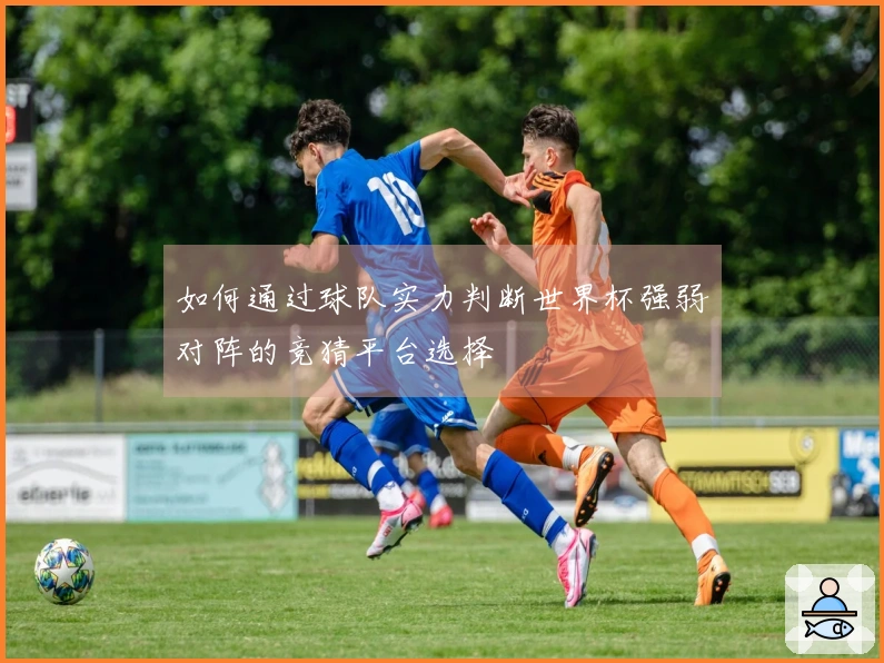 如何通过球队实力判断世界杯强弱对阵的竞猜平台选择