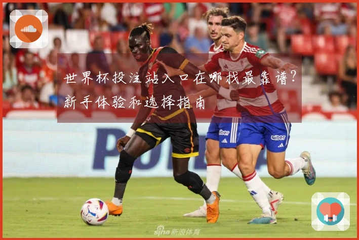 世界杯投注站入口在哪找最靠谱？新手体验和选择指南