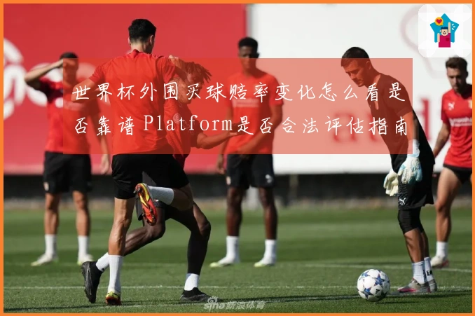 世界杯外围买球赔率变化怎么看是否靠谱 Platform是否合法评估指南