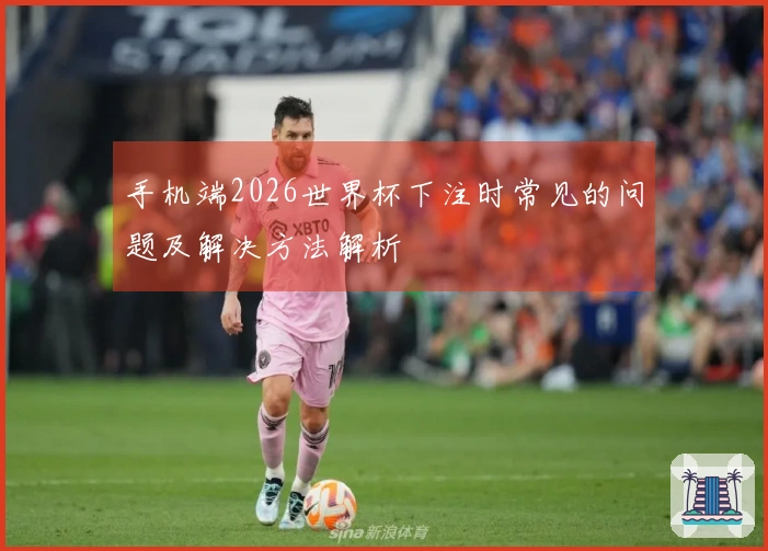 手机端2026世界杯下注时常见的问题及解决方法解析